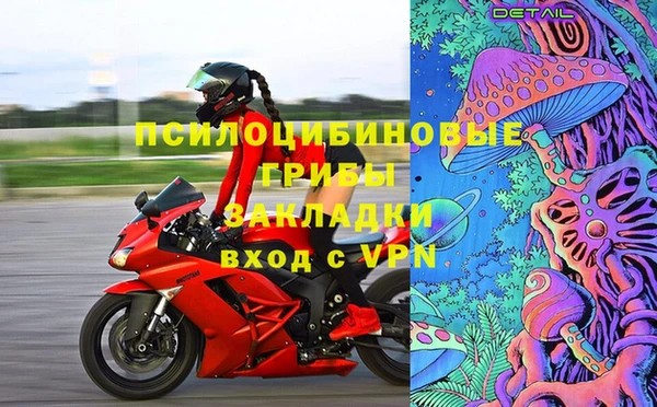 мет Алексин